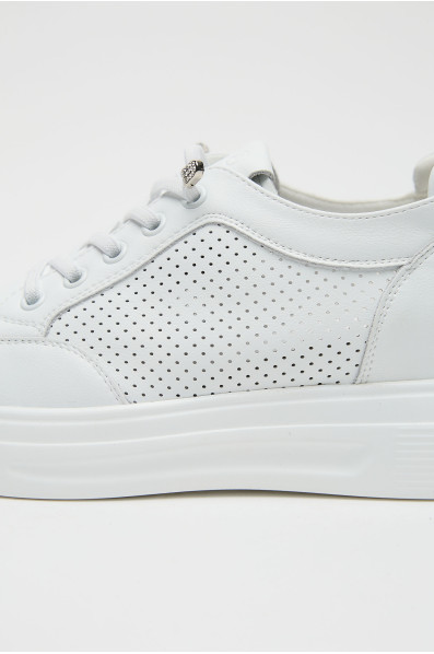 Сліпони 211366