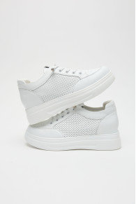 Сліпони 211366