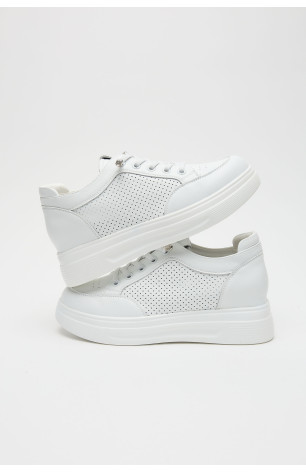 Сліпони 211366