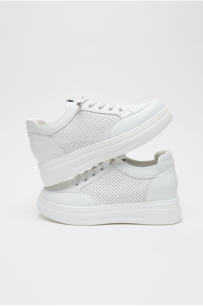 Сліпони 211366