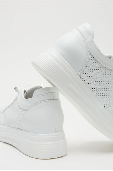 Сліпони 211366