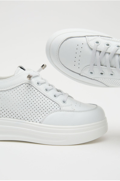 Сліпони 211366