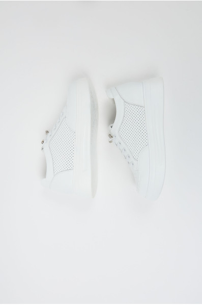 Сліпони 211366