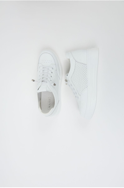 Сліпони 211366