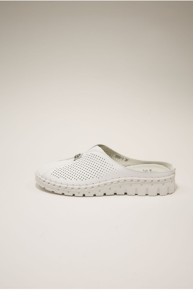 Шлепанцы 195212