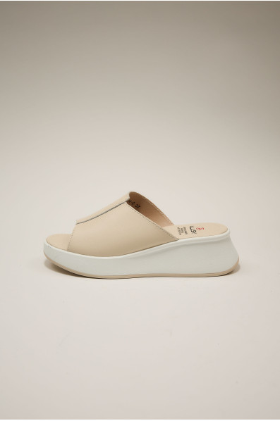 Шлепанцы 195227