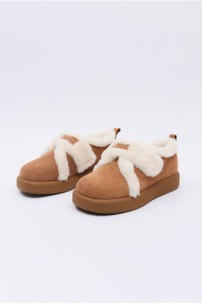 Сліпони 203984