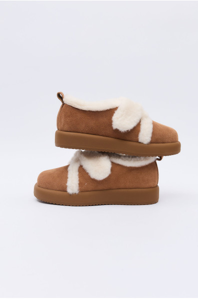 Сліпони 203984