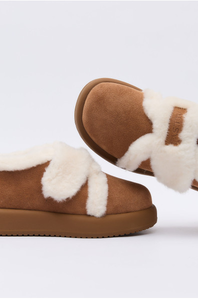 Сліпони 203984